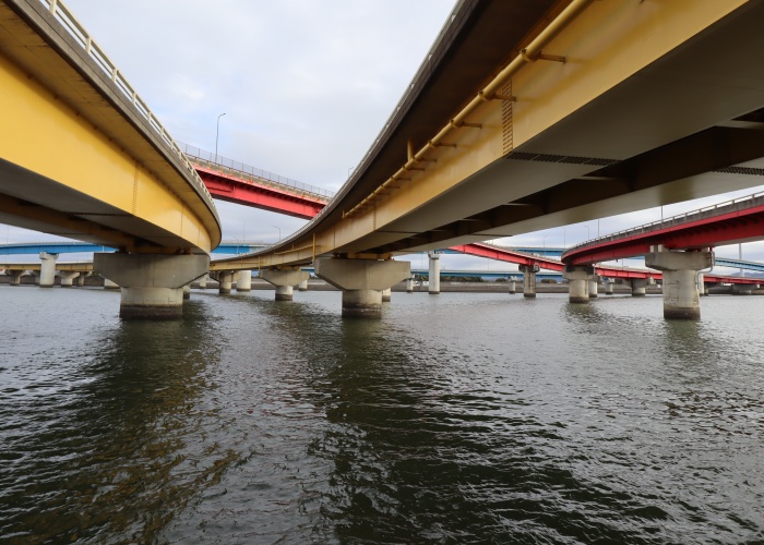 �L���̍`�勴